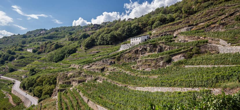 Azienda Agricola Caven Camuna