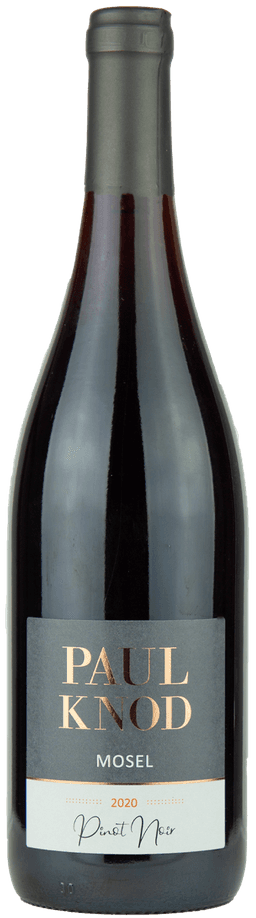 Paul Knod - Pinot Noir 2020