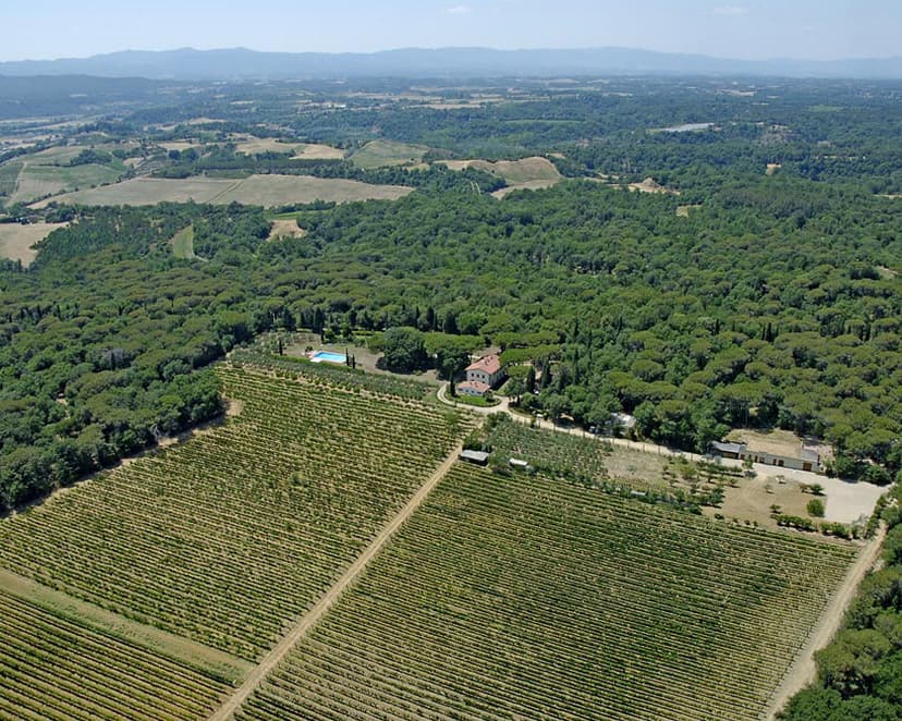 Tenuta la Pineta